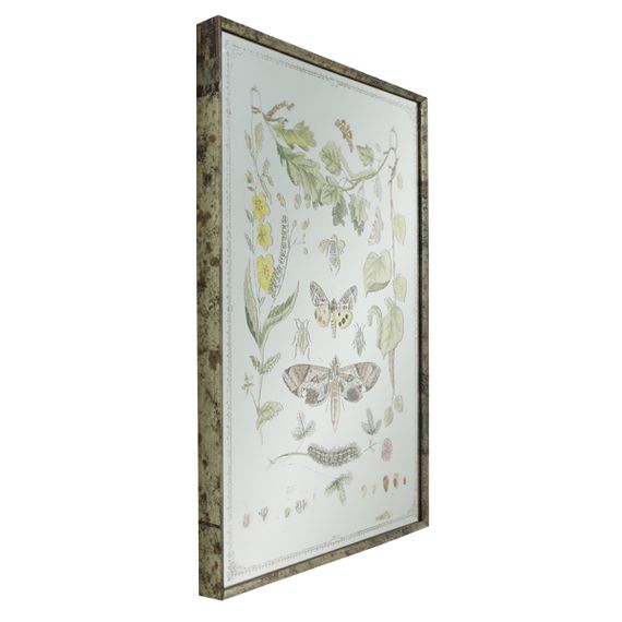 11408 Quadro Espelhado Folhas e Borboletas
