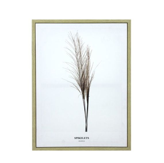 12934 Tela Impressa C/ Mol Folhas Spikelets