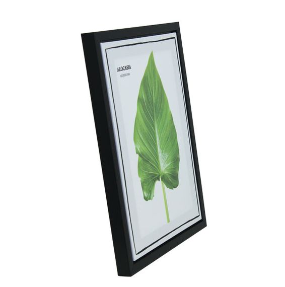 12944 Tela Impressa C/ Mol Folhas Alocasia