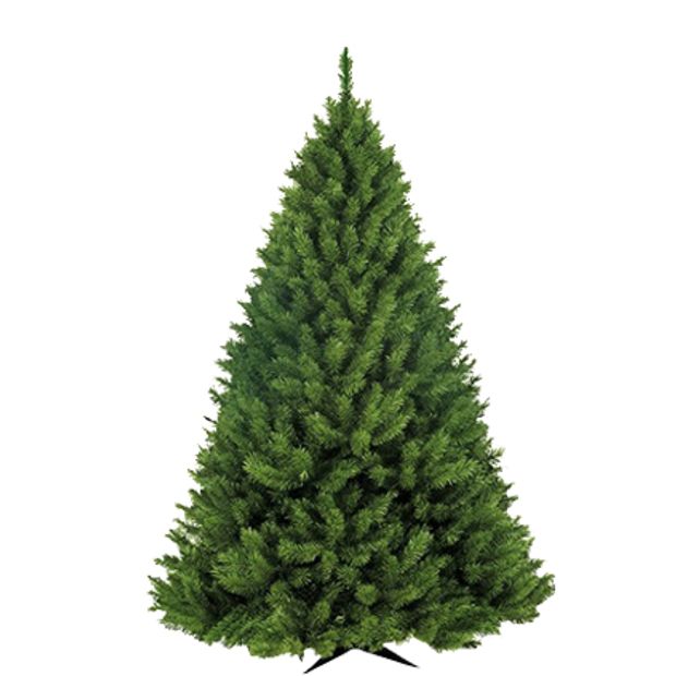 Árvore Bavarian Pine 1,50m
