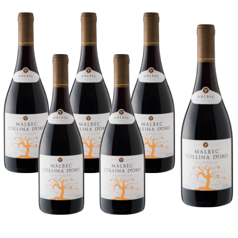 Kit Vinho Malbec Collina D'oro - Compre 5 Leve 6