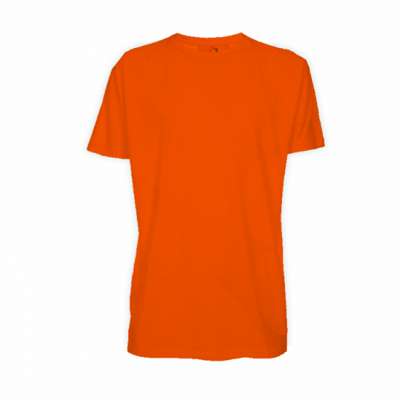 Camiseta Poliéster Laranja - Adulto - Manga Curta