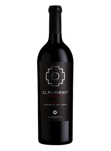 El Porvenir Icon