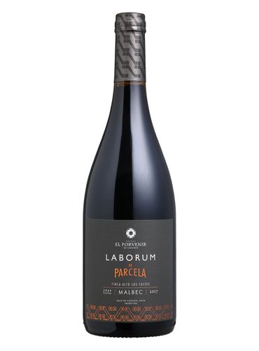 El Porvenir Laborum de Parcela Finca Alto los Cuises Malbec