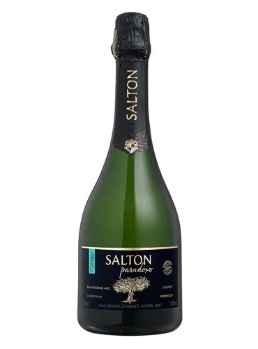 Espumante Salton Paradoxo Brut