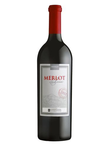 Miolo Terroir Merlot D.O.